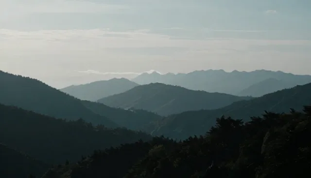 品牌策划在活动策划中的选型与适用条件分析